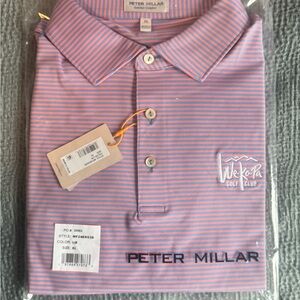 Peter Millar Men's Polo Shirt - Pink and Blue Stripes